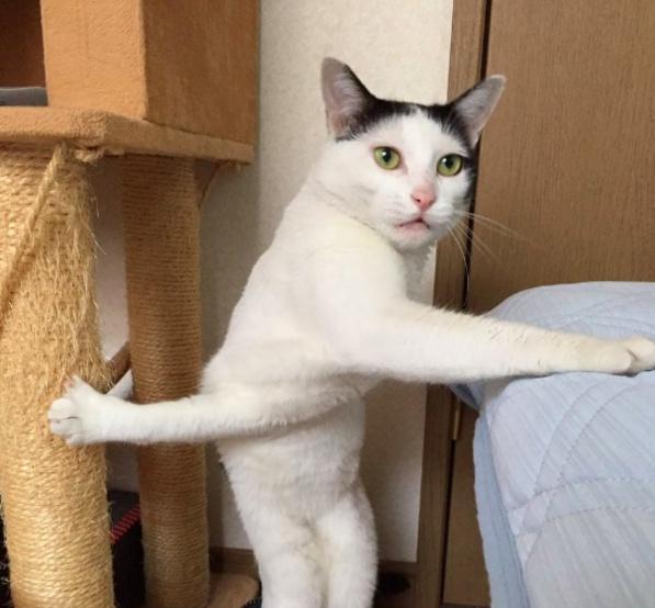 十大外围足球大平台