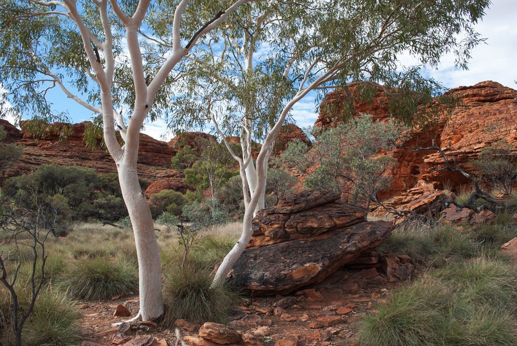 十大外围足球平台app