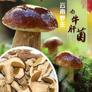 十大外围足球平台app