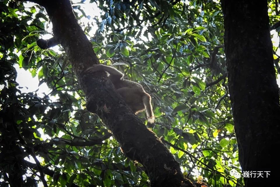 十大外围足球平台app