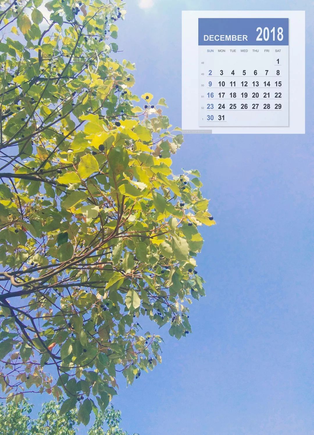 十大外围足球平台app