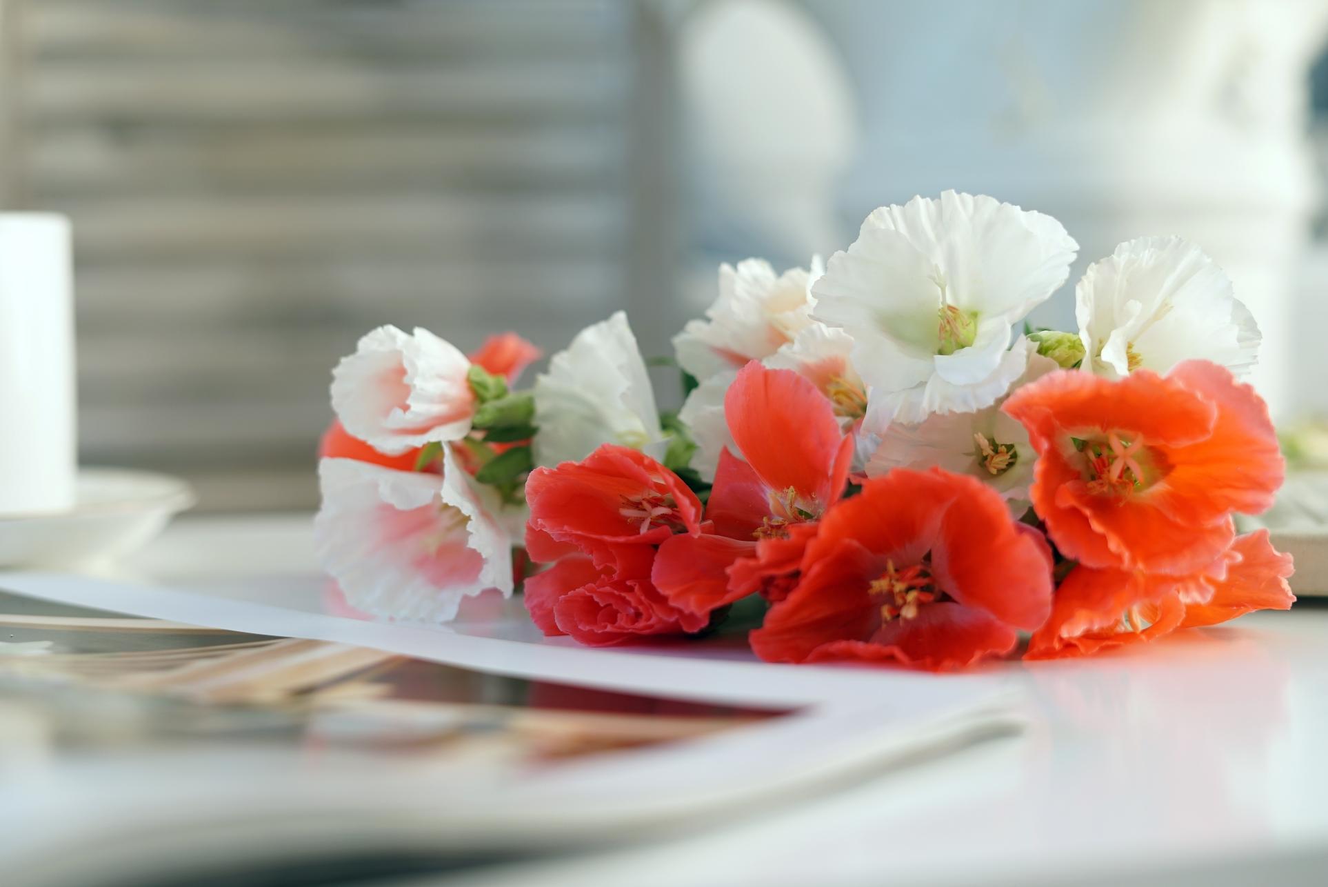 十大外围足球平台app手机版