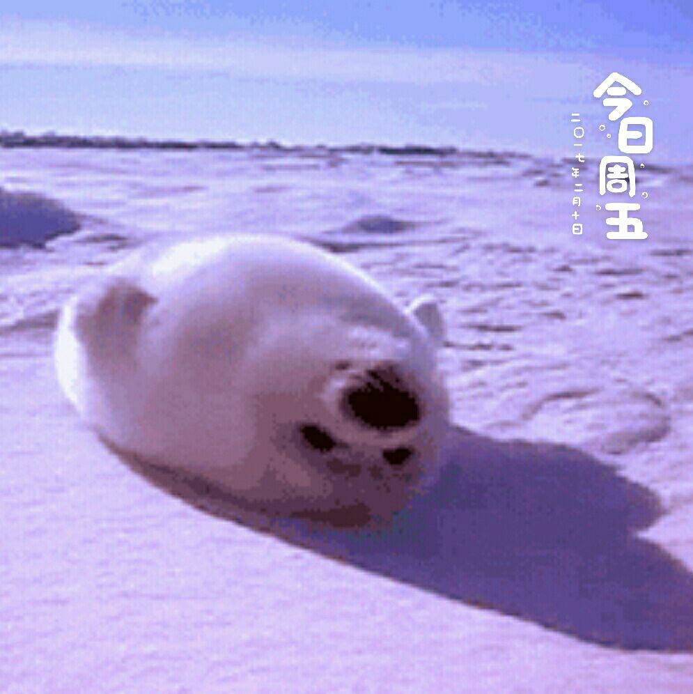 十大外围足球大平台|琼斯发威40+8+7赢飚分大战 辽宁轻取东莞两连胜(图1) 十大外围足球平台app手机版