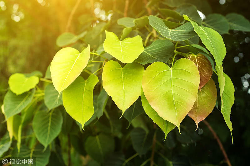 【十大外围足球平台app手机版】黄河水电公司创建“工人先锋号”活动显成效(图1) 十大外围足球大平台