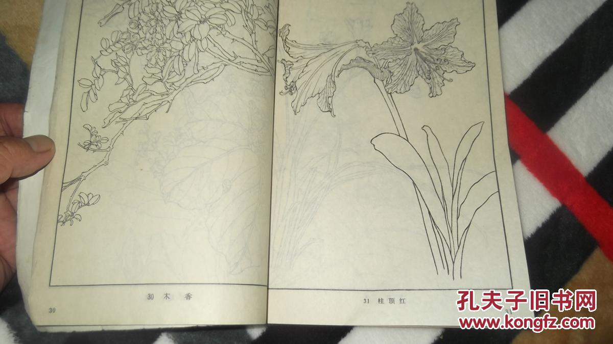 十大外围足球平台app手机版