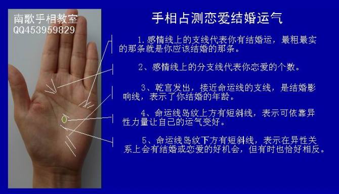 山东金斯顿主场84:88不敌上海东方(第三十一轮)-十大外围足球大平台(图3) 十大外围足球平台app