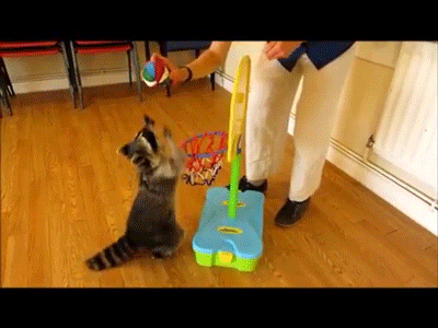 “十大外围足球平台app手机版”谁说直男爱都小姐姐了?其实只有女装大佬才能让他们激动!(图1) 十大外围足球大平台