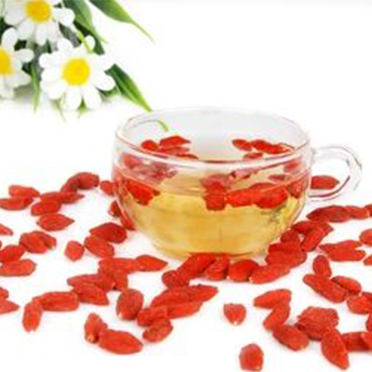 十大外围足球平台app手机版